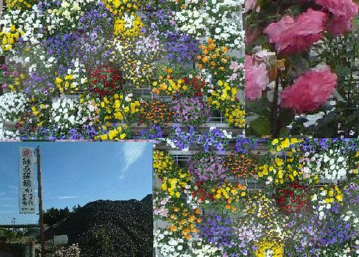 運輸 建材 土木建設の篠原グループ 篠原運輸有限会社 有限会社